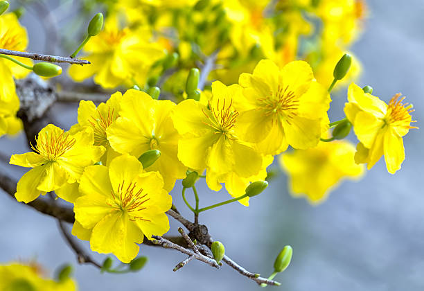 Đang cập nhật